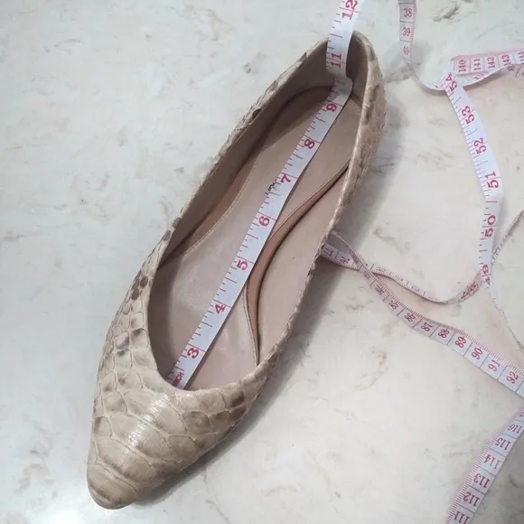 Alexandre Birman Nude Snakeskin Pointed Flats