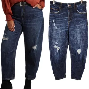 Anthropologie Petite Pilcro Bow Boyfriend Curved Leg Jean Cropped Distressed 28P