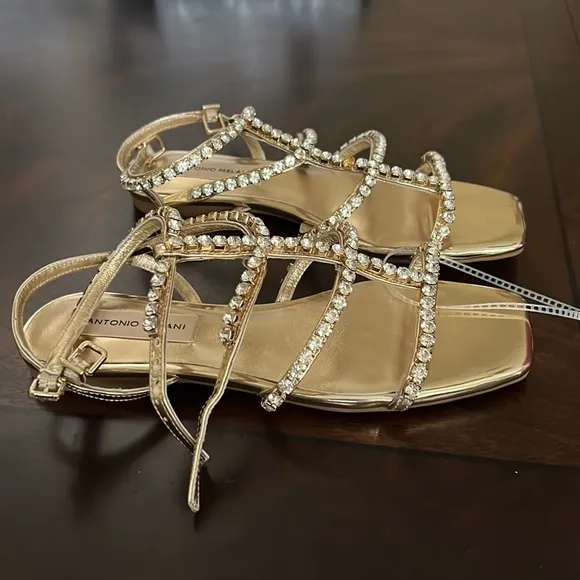 Antonio MelaniDayla Metallic Leather Jeweled T-Strap Flat Sandals