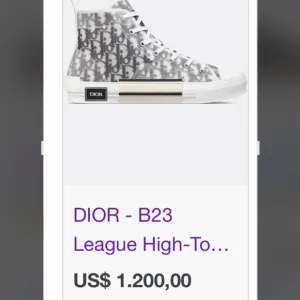 Dior B23 High-Top Sneakers