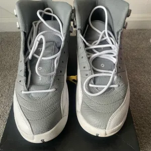 Jordan 12 Gray and White High-Top Sneakers
