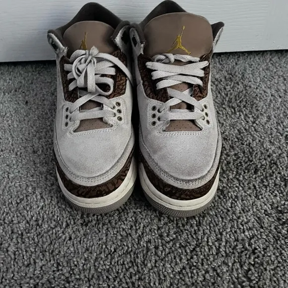 Jordan 3s