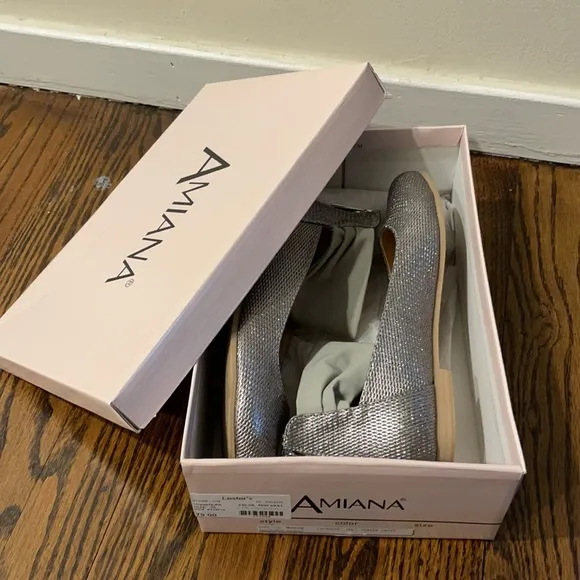 Like New Silver Ballet Flats