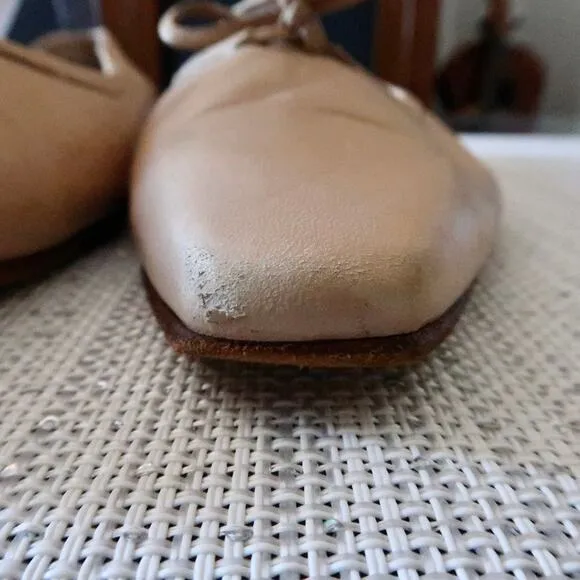 Manolo Blahnik Ballerimu Pointed-Toe Titto Ballerina Flats Size 38.5 / 8.5