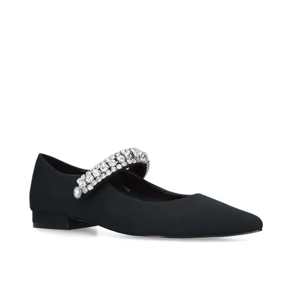 NIB Kurt Geiger Kingly Ballet Flats sz7.5
