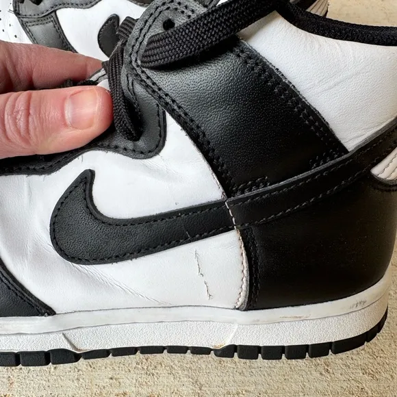 Nike Dunk High