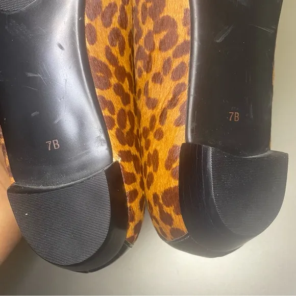 NWOB Talbots Leopard Print Calf Hair Pointed Toe Loafers - Size 7B