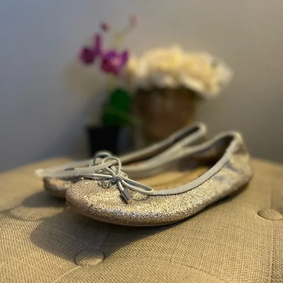 Sam Edelman “Felicia” Toddler Ballet Flats - Size 13