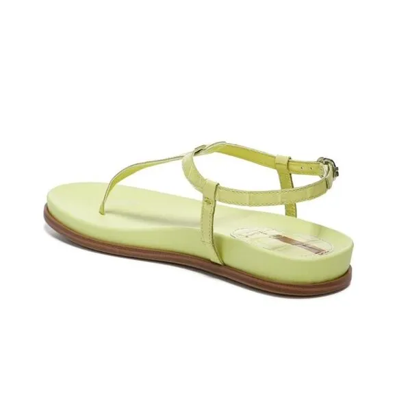 Sam Edelman Womens Kiwi Green Naomi Leather T Strap Flat Sandals Sz 8.5 M NIB