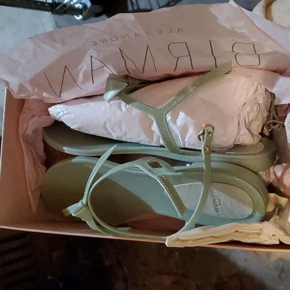 Sz 36 and 42 NIB $395 Alexandre Birman rubber flat sandals