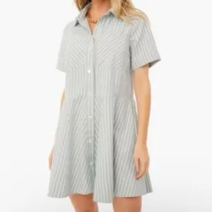 Tuckernuck Celadon Green Stripe Meryl Shirt Dress Size Medium